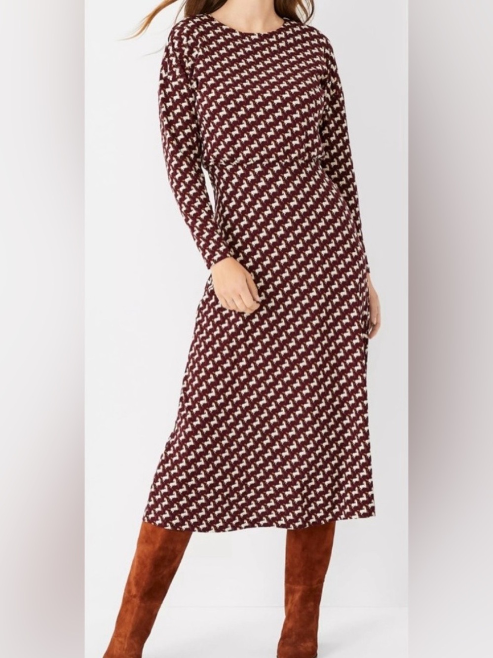Ann Taylor Burgundy & Cream 🐎 Horse Maxi Dress